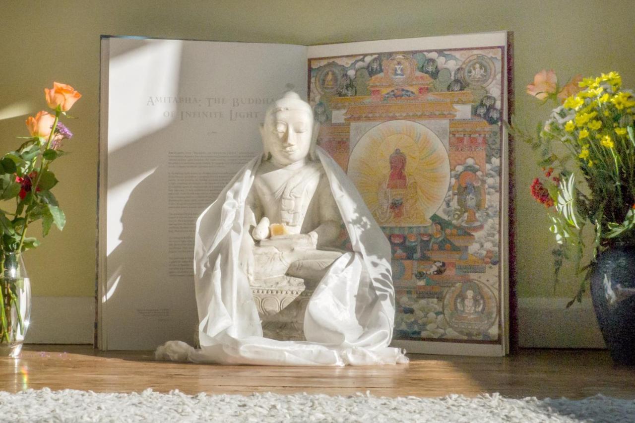 Healing Waters Sanctuary For Exclusive Private Hire And Self Catering Board, Vegetarian, Alcohol & Wifi Free Retreat In Glastonbury Bagian luar foto