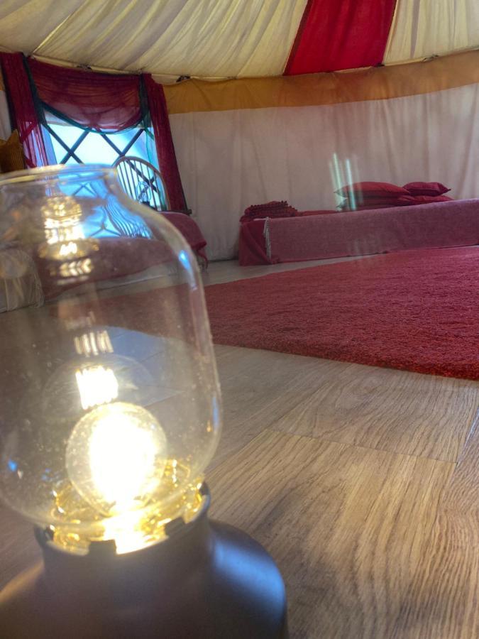 Healing Waters Sanctuary For Exclusive Private Hire And Self Catering Board, Vegetarian, Alcohol & Wifi Free Retreat In Glastonbury Bagian luar foto