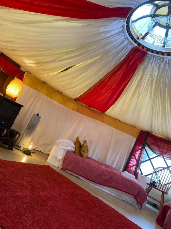 Healing Waters Sanctuary For Exclusive Private Hire And Self Catering Board, Vegetarian, Alcohol & Wifi Free Retreat In Glastonbury Bagian luar foto