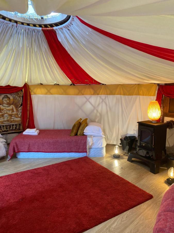 Healing Waters Sanctuary For Exclusive Private Hire And Self Catering Board, Vegetarian, Alcohol & Wifi Free Retreat In Glastonbury Bed & Breakfast Bagian luar foto