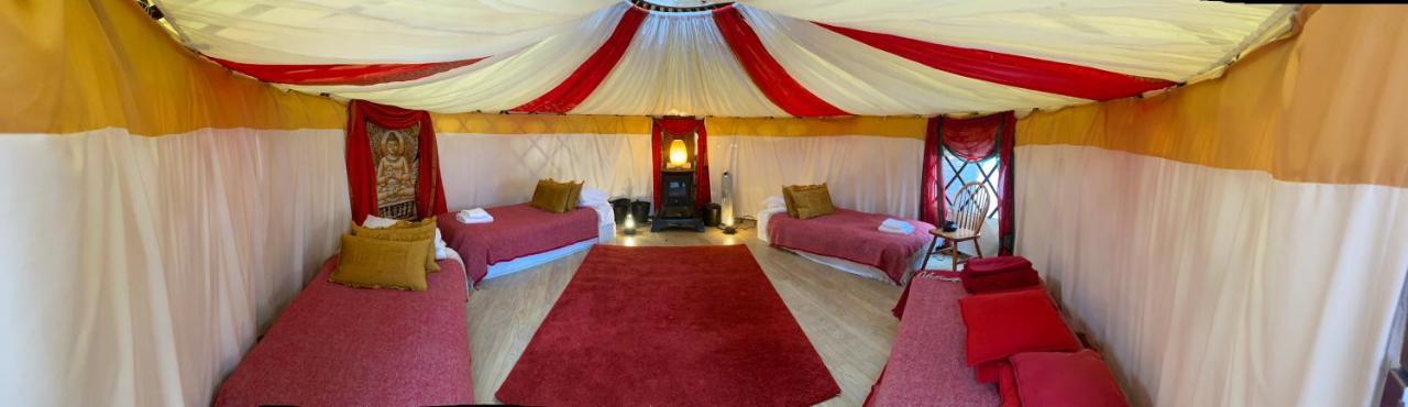 Healing Waters Sanctuary For Exclusive Private Hire And Self Catering Board, Vegetarian, Alcohol & Wifi Free Retreat In Glastonbury Bagian luar foto