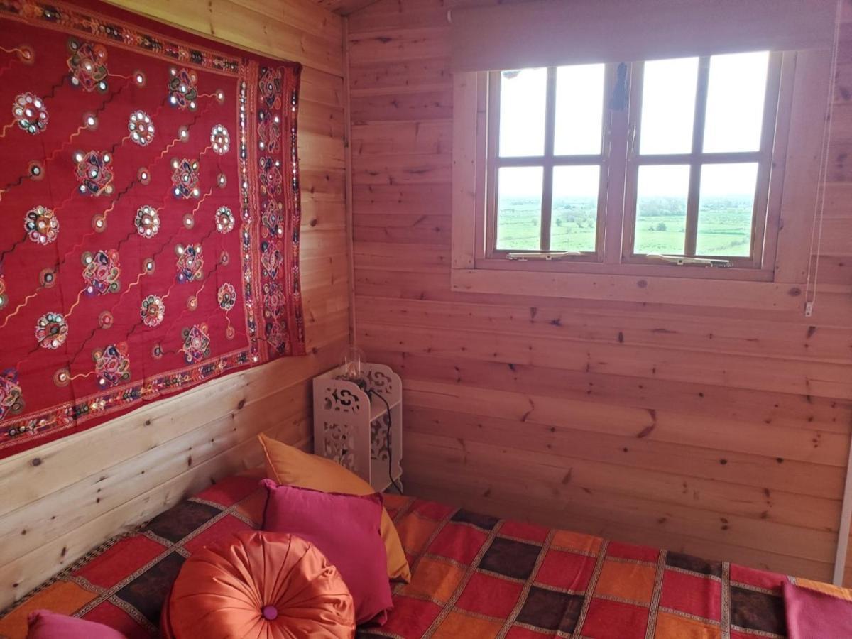 Healing Waters Sanctuary For Exclusive Private Hire And Self Catering Board, Vegetarian, Alcohol & Wifi Free Retreat In Glastonbury Bagian luar foto